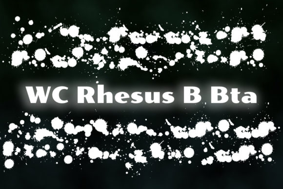 WC Rhesus B Bta Font for Web Design